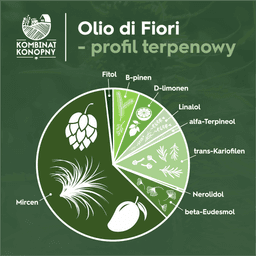 terpeny profil