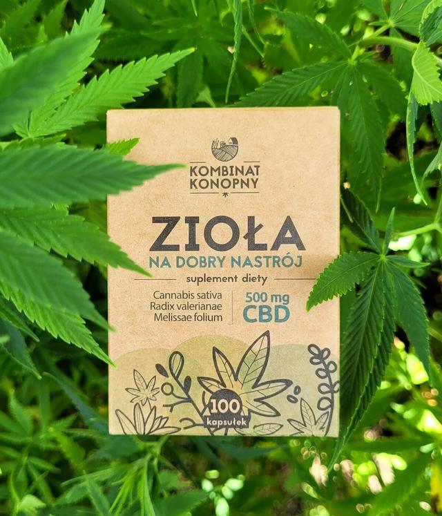 Zioła na dobry nastrój