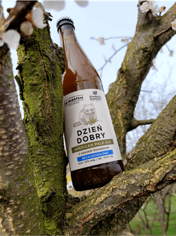 bezalkoholowe-piwo-konopne-APA-dzien-dobry