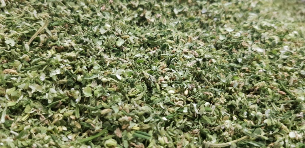 tolerancja cbd