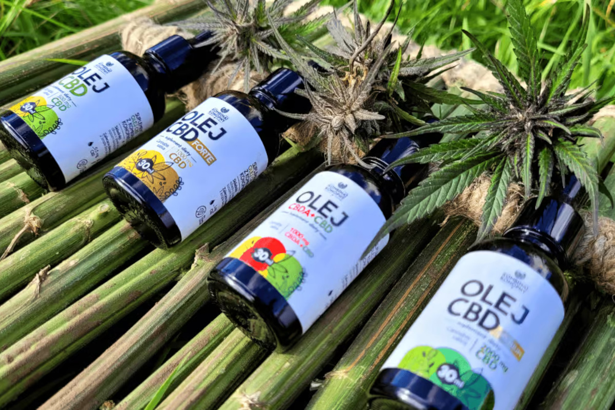 olej CBD