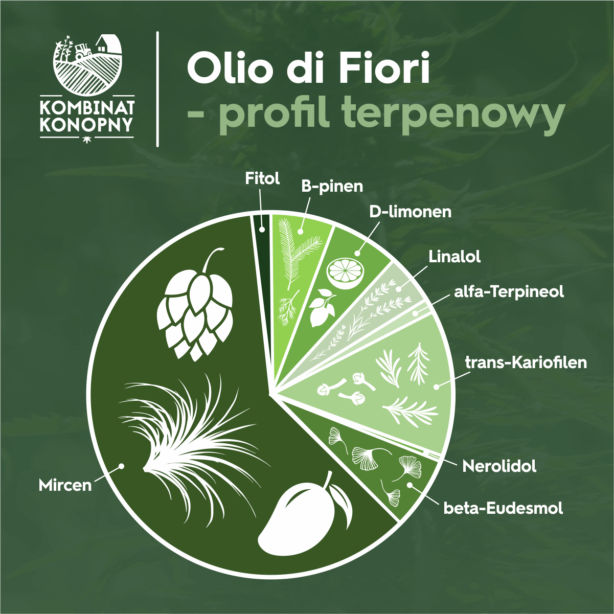 terpeny profil