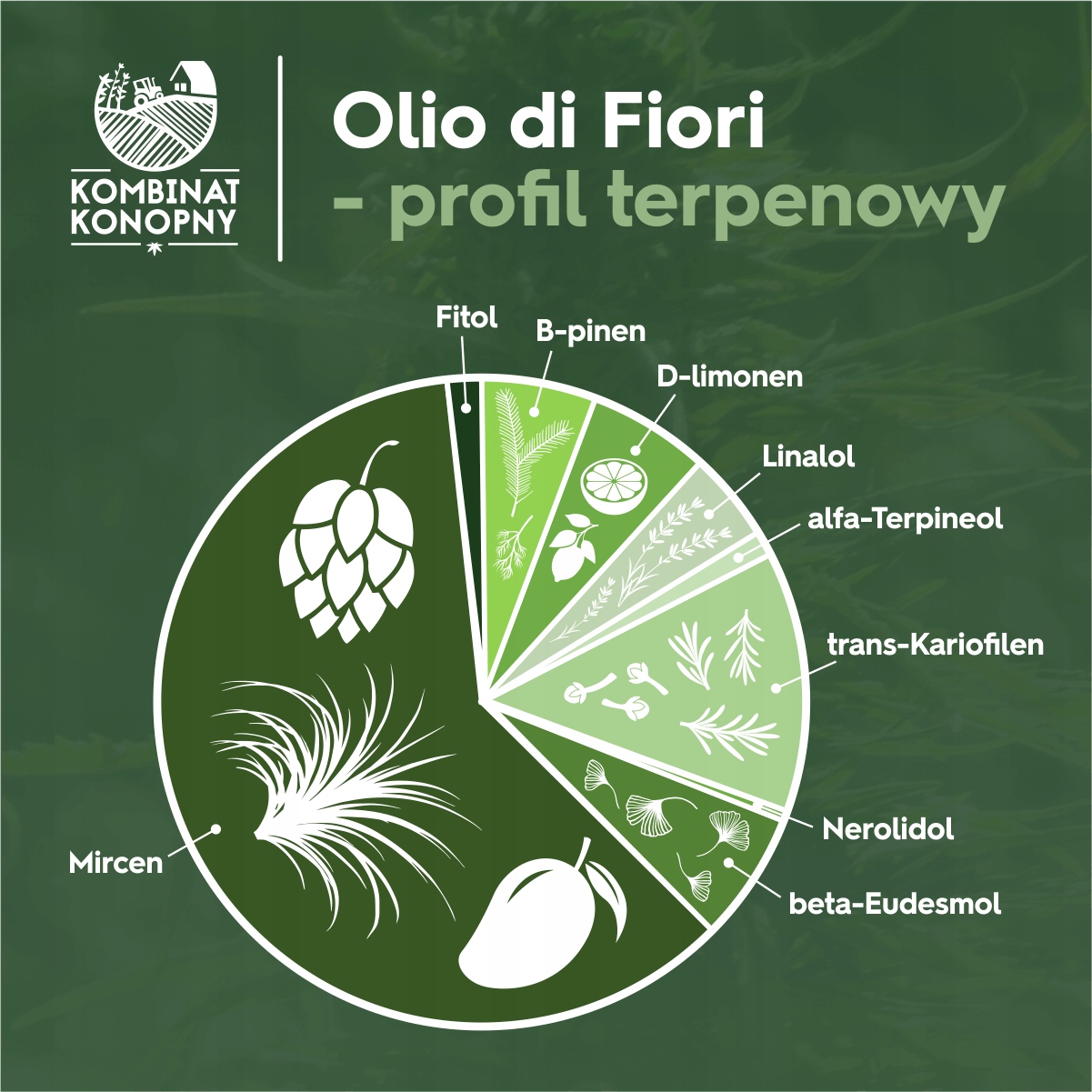profil-terpenowy-olio-di-fiori
