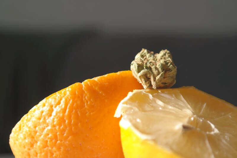 terpeny