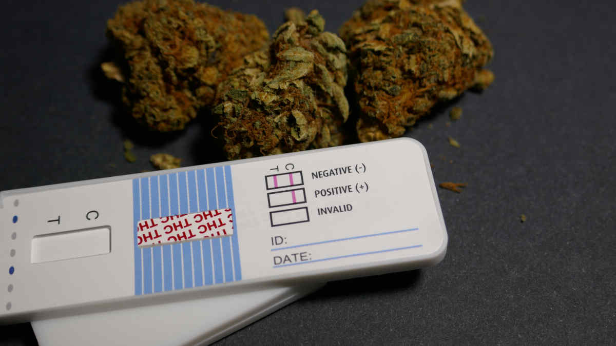 Michigan test marihuana
