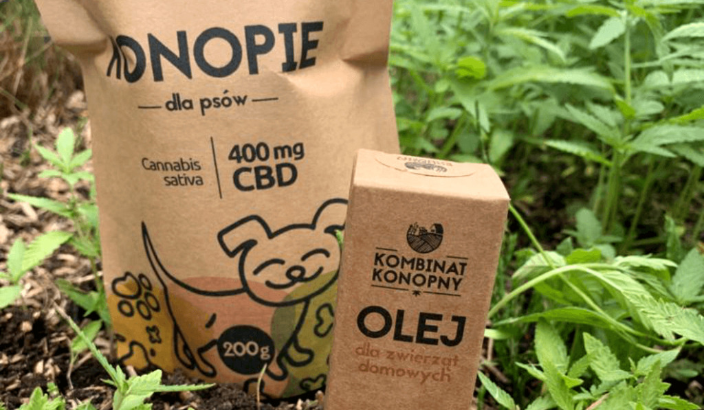 Olejek CBD dla psa – jaki wybrać? Dawkowanie, efekty, skutki uboczne