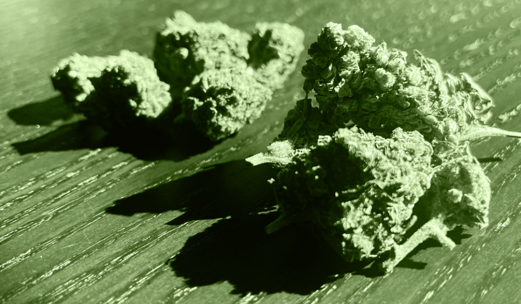 THC i CBD – różnice i podobieństwa