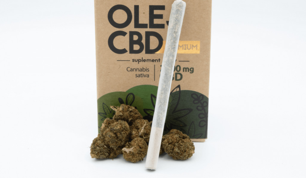 Palenie CBD – czy warto? Olejek CBD czy susz?