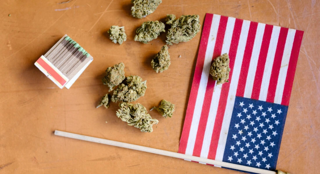 USA z 36% spadkiem liczby aresztowań za marihuanę w 2020 roku!