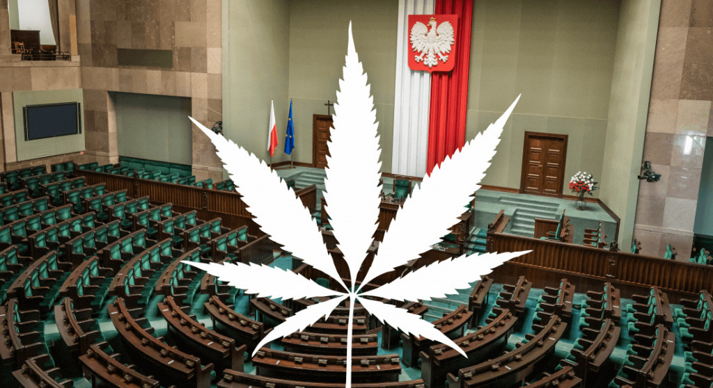 Festiwal głupoty, czyli debata nad polskimi ustawami konopnymi