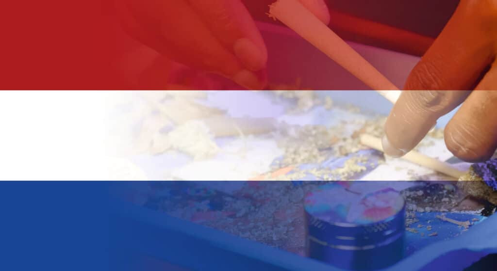 Co w trawie piszczy #3 – próba uregulowania działania holenderskich coffeshopów