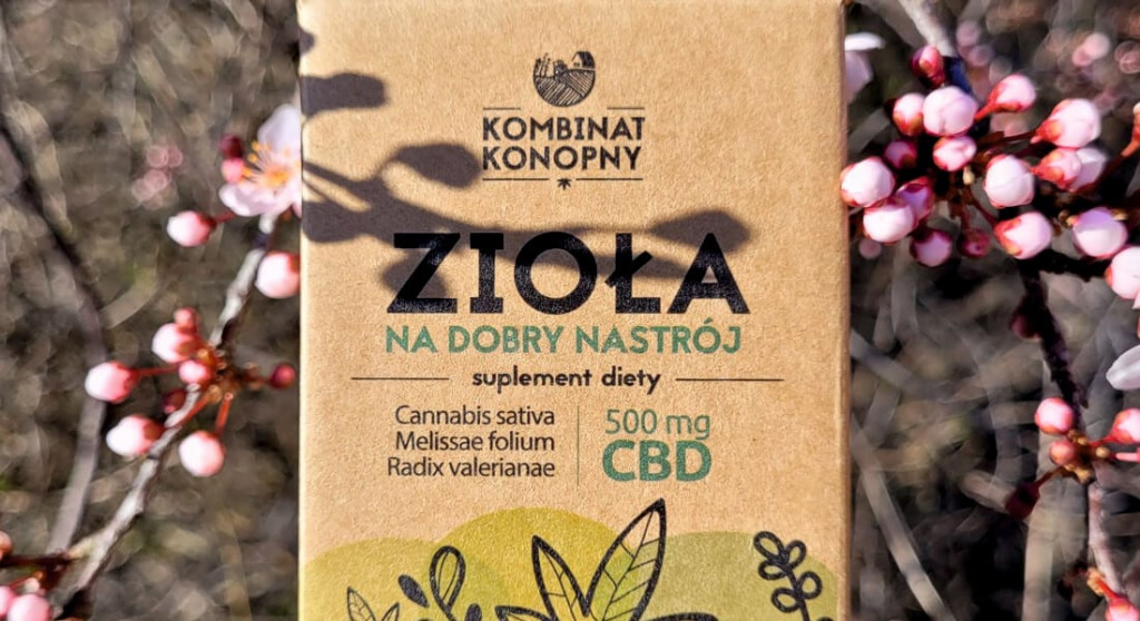 CBD przełomem w samoleczeniu depresji?
