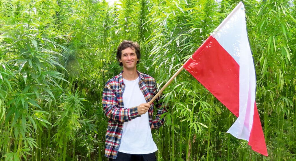 Court judgment: hemp is NOT a “Novel Food”, it can be used in food!