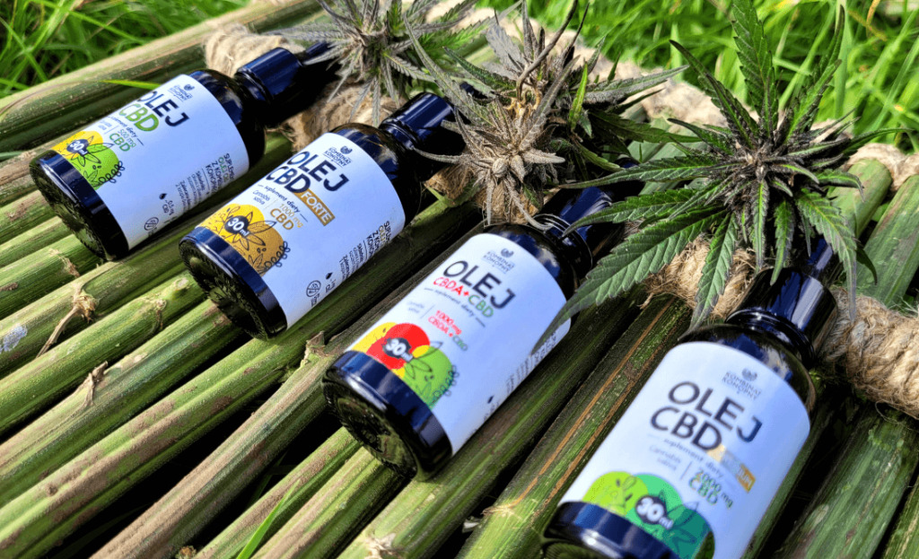 Olejek CBD – jaki wybrać?