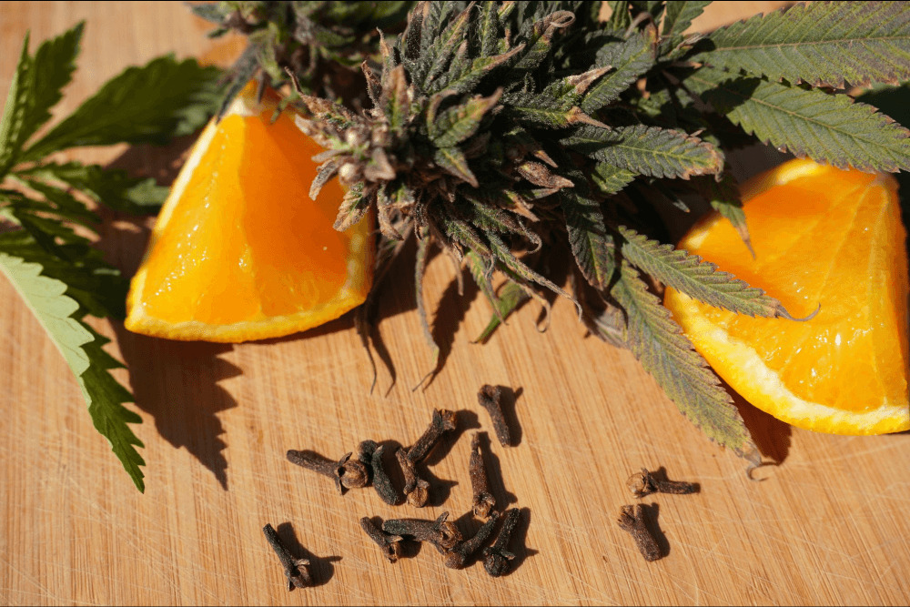 Terpeny konopne – potencjał i zastosowanie