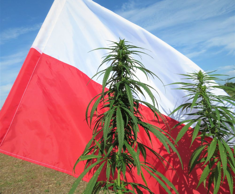 Polskie Konopie SA