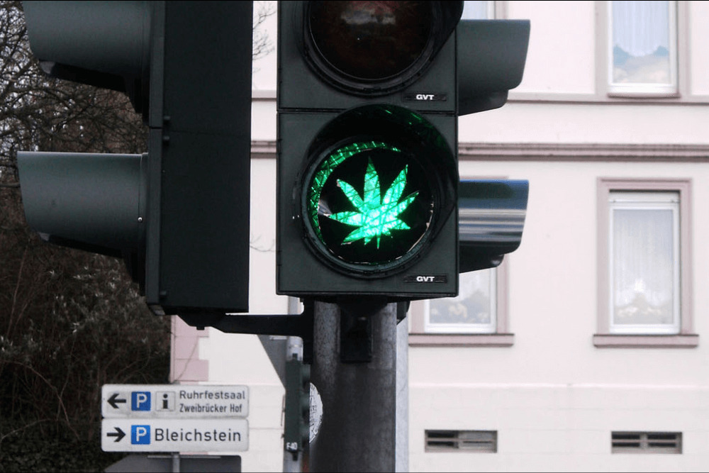 Niemcy legalizują marihuanę – CWTP#11
