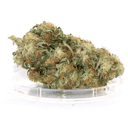 Susz CBG - KWIATY Z KOMBINATU - 5 g