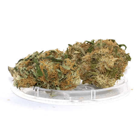 Susz CBG - KWIATY Z KOMBINATU - 5 g
